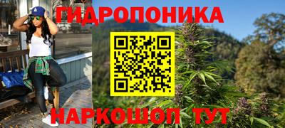 прущие грибы Баксан