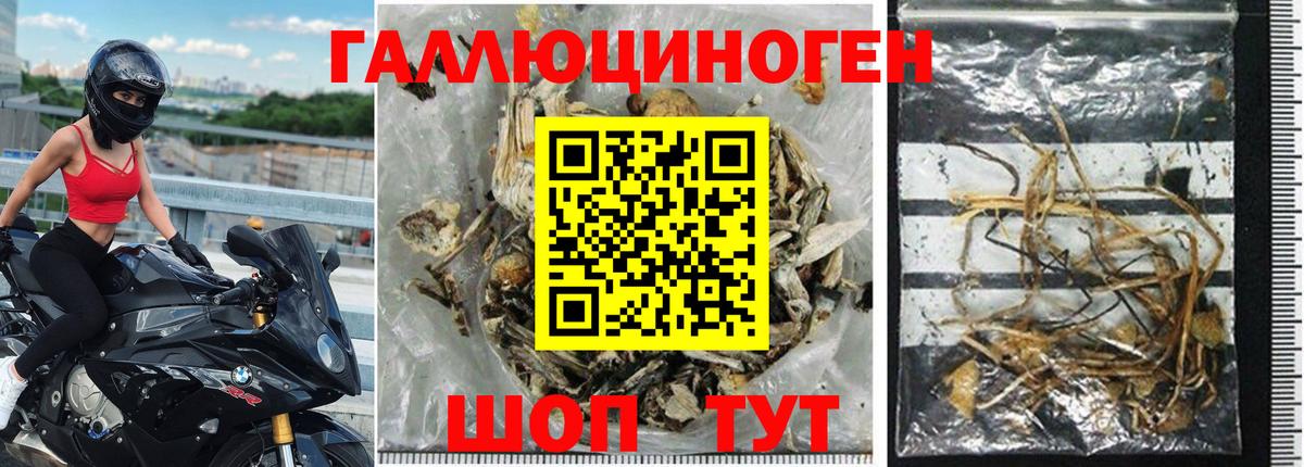 Галлюциногенные грибы ЛСД  Вход с VPN  Батайск 